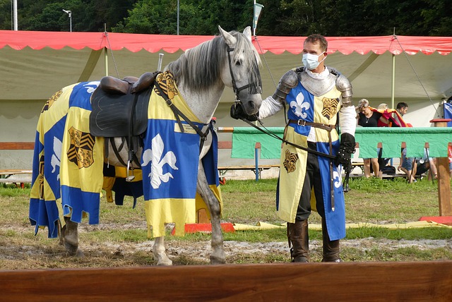 的比賽環境 的比賽環境