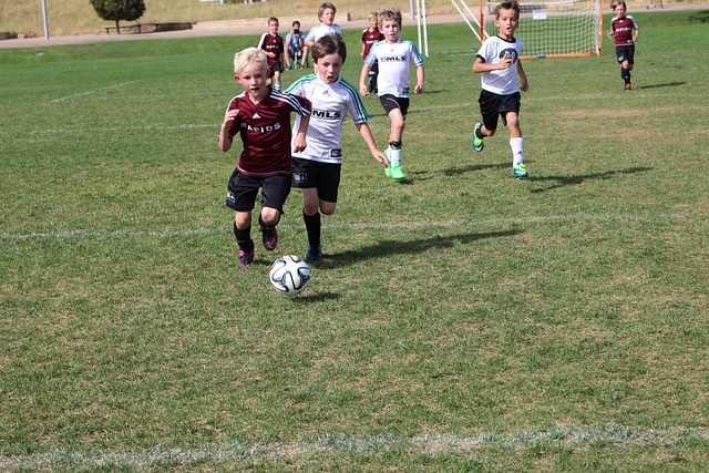 也极大地鼓 也极大地鼓