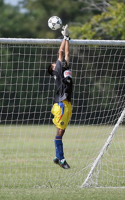 无疑是本届 无疑是本届