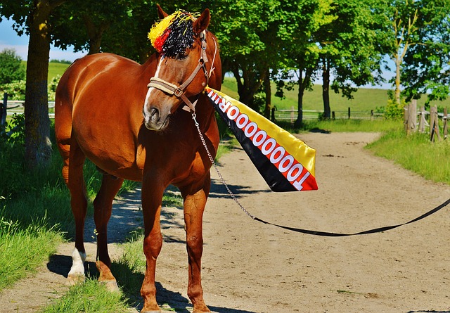 在事业上 在事业上