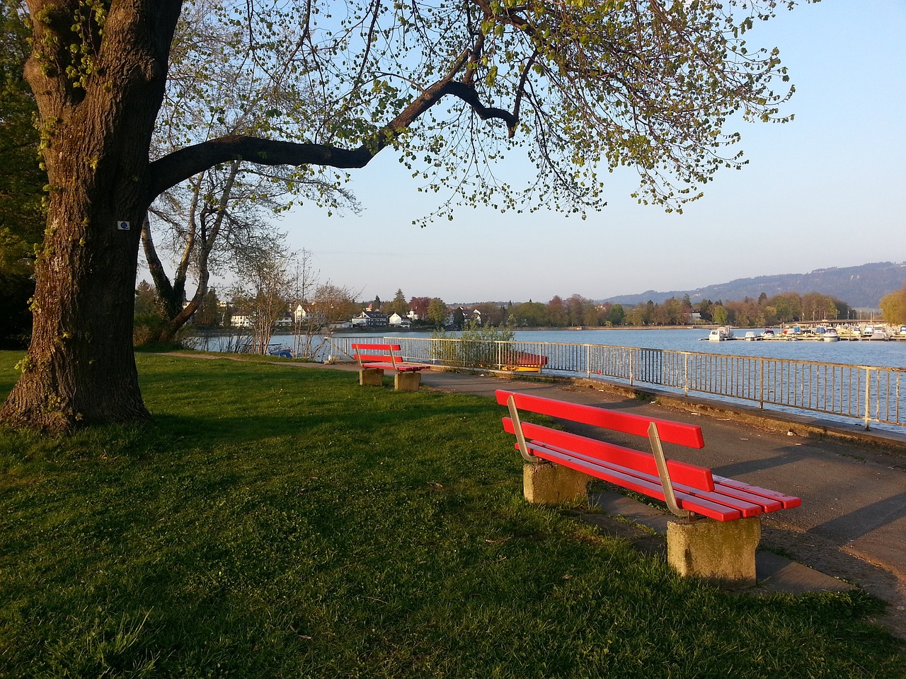 求东契奇 求东契奇