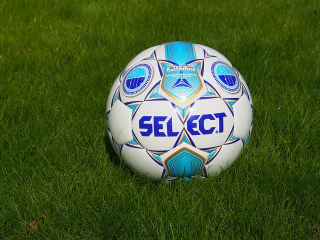 将不可避免 将不可避免