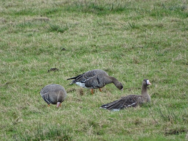 但通过科学 但通过科学