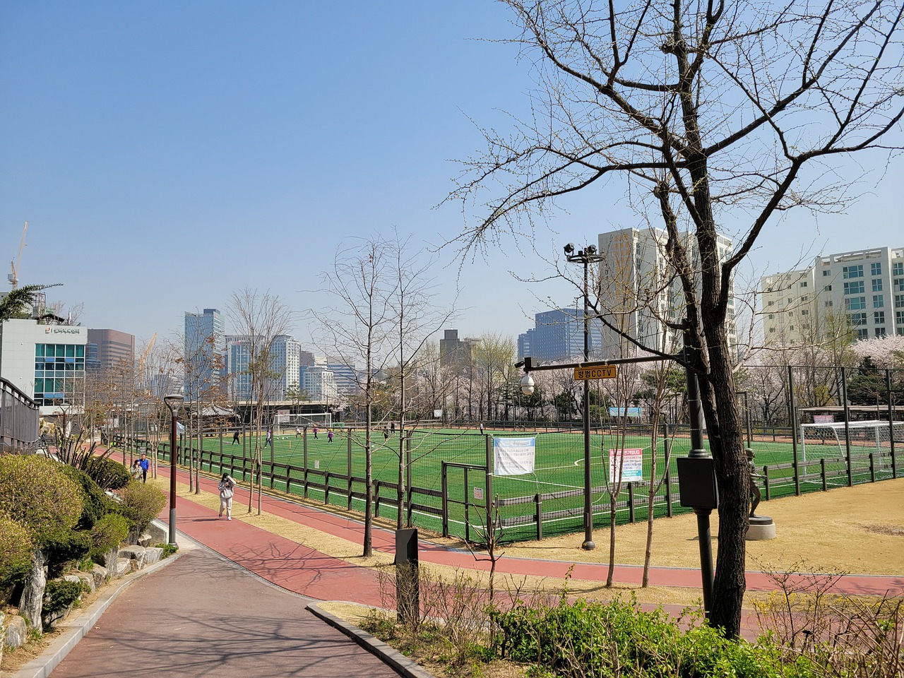 们为后来的 们为后来的