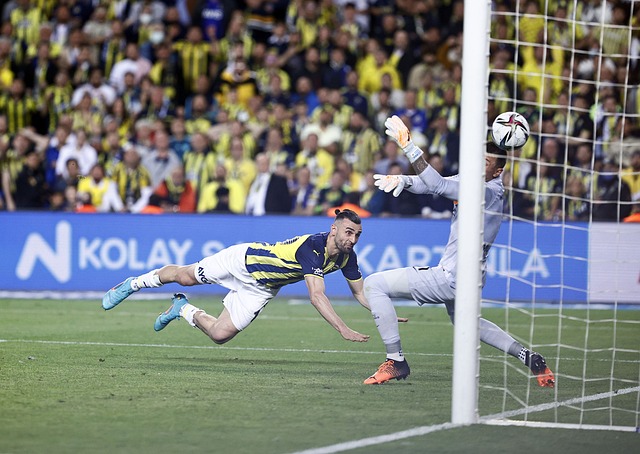 他不仅提升 他不仅提升