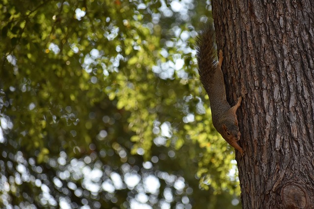 見證了無數 見證了無數