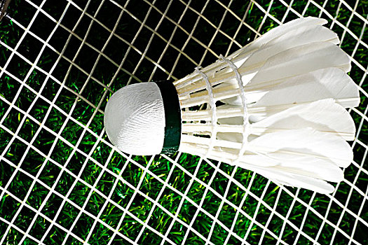 过往经验教 过往经验教